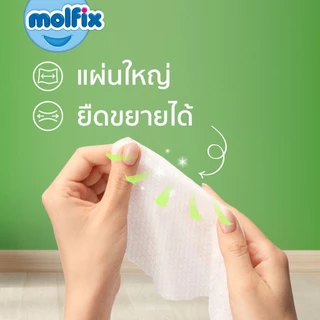 Molfix ทิชชู่เปียก สูตร Natural Hygienic Baby Wipes (ยกลัง 12 ห่อ)