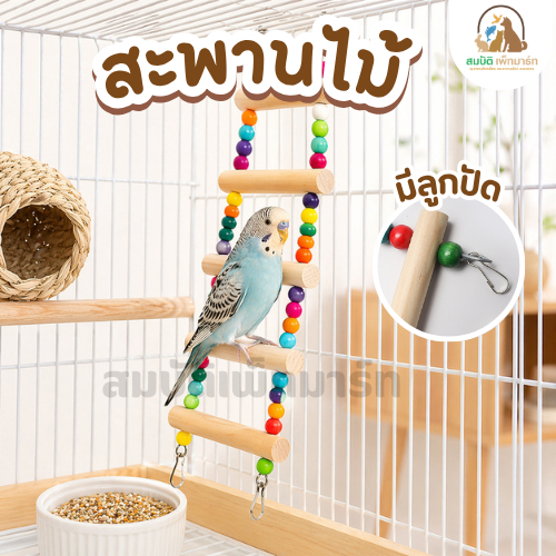 บันไดไม้ปีนป่ายนก ของเล่นนก สะพานไม้ ลูกปัดสี แขวนกรงนก มีหลายขนาด