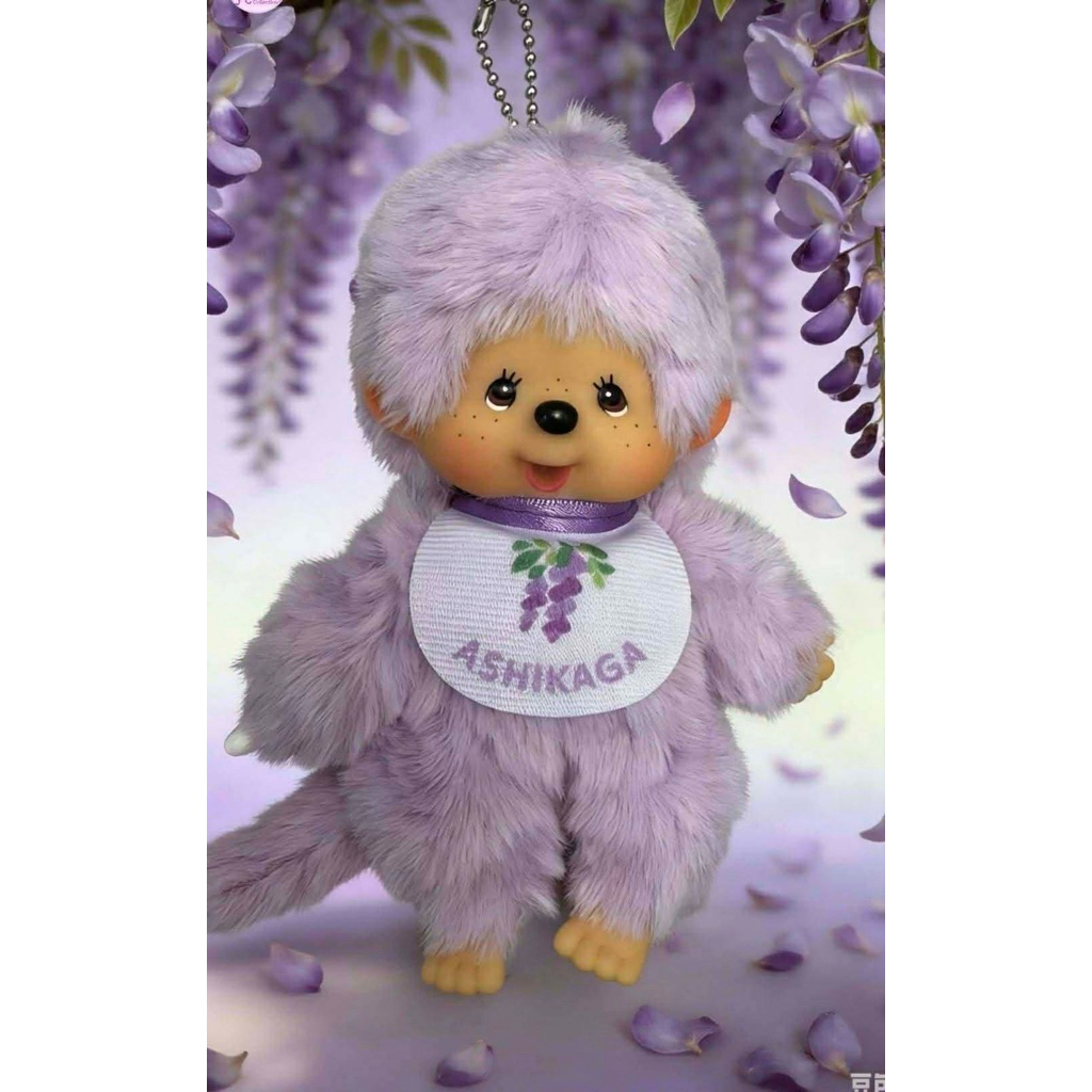 พร้อมส่ง📌 Ashikaga Wisteria Limited Edition