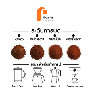 เมล็ดกาแฟ อมก๋อย OM KAI เกรด A-AA ละมุน[ คั่วสดใหม่ทุกวัน ]