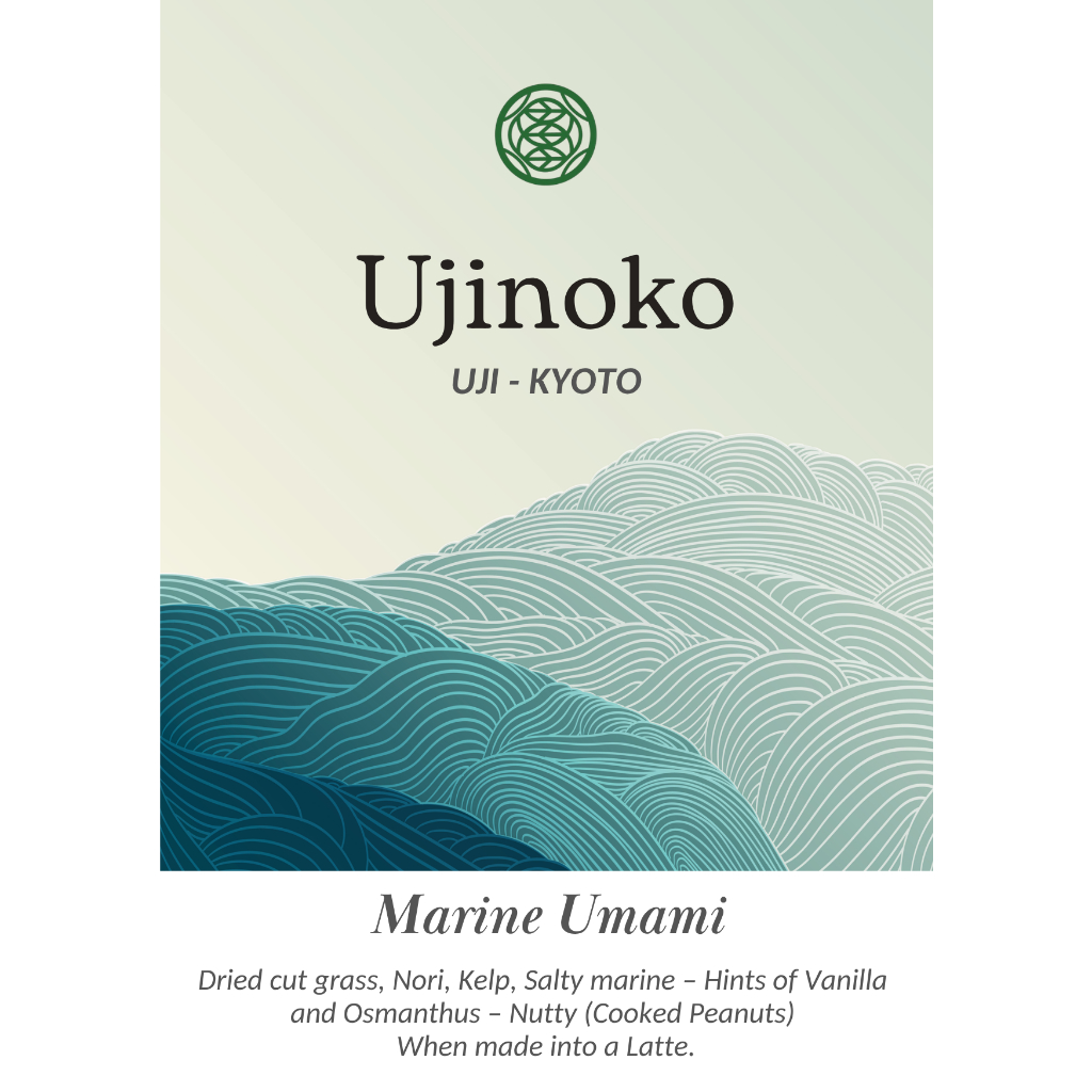 Ujinoko : Premium Ceremonial grade
