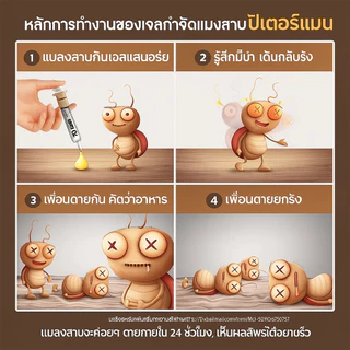 🔥เจลกำจัดแมลงสาบ 35g🔥 เจลฆ่าแมลงสาบ เหยื่อล่อแมลงสาบ สูตรเข้มข้น ล่อกินง่าย กำจัดได้ยกรัง ใช้งานง่าย