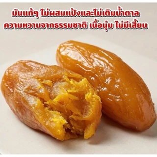 มันหนึบ หนีบญี่ปุ่น หัวใหญ่ 100%ไม่ผสมแป้งและน้ำตาล อร่อย รีวิวแน่น ไม่ใส่น้ำตาล พันธุ์ญี่ปุ่น มัน หนึบ