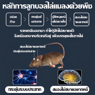 🐭 ยาไล่หนู 12 เม็ด ลูกเหม็นไล่หนู ไล่หนูในบ้าน รถยนต์ ห้องเครื่อง โกดัง ป้องกันหนูเข้าบ้าน ใช้งานง่าย