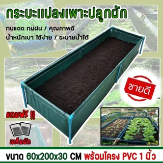 【COD】กระบะปลูกผัก พร้อมโครง PVC ขนาด 60x200x30cm กะบะเพาะปลูก​ ถุงปลูก​ต้นไม้ แปลงผัก กระบะปลูกผัก แปลงปลูกผัก