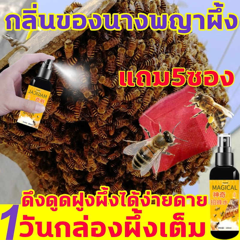 ดึงดูดฝูงผึ้งได้ง่ายๆ น้ำยาล่อผึ้ง 1 ขวด (100 มล.) ประกอบด้วยสารล่อผึ้ง 5 ชนิด ใช้งานง่าย มีกลิ่นของราชินีผึ้ง และมีกลิ่