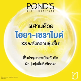 ใหม่! พอนด์ส กันแดด เนื้อพุดดิ้ง SPF 50+ PA++++ บางเบา ซึมไว ผิวฉ่ำโกลว์ สูตรกระจ่างใส และ สูตรชุ่มชื่น 30 ml.