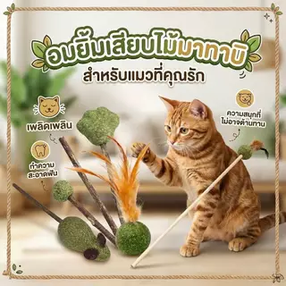 Boqi Factory catnip แคทนิปอมยิ้มเสียบไม้มาทาบิสมุนไพรแมวฟินแคทนิปแมวกัญชาแมว(ของเล่นแมว)​ Catnip Toy XJ