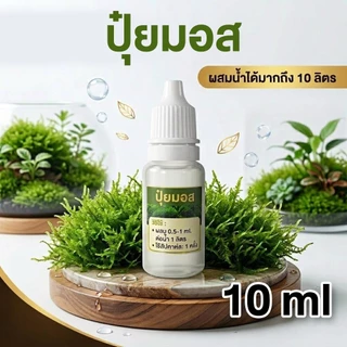 มอสดิน ขนาดกล่อง15cm*9.5cm ราคาถูก แต่งสวนถาด บอนไซ น้ำตกโขดหิน((มอสสด))
