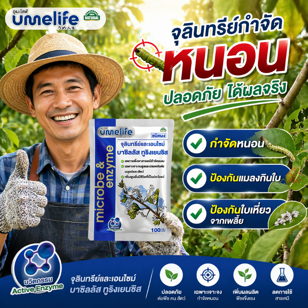 อูเมะไลฟ์ บาซิลัส ทูริงเยนซิส 100 กรัม จุลินทรีย์กำจัดหนอน ป้องกันแมลงกินใบ ป้องกันใบเหี่ยวจากเพลี้ย