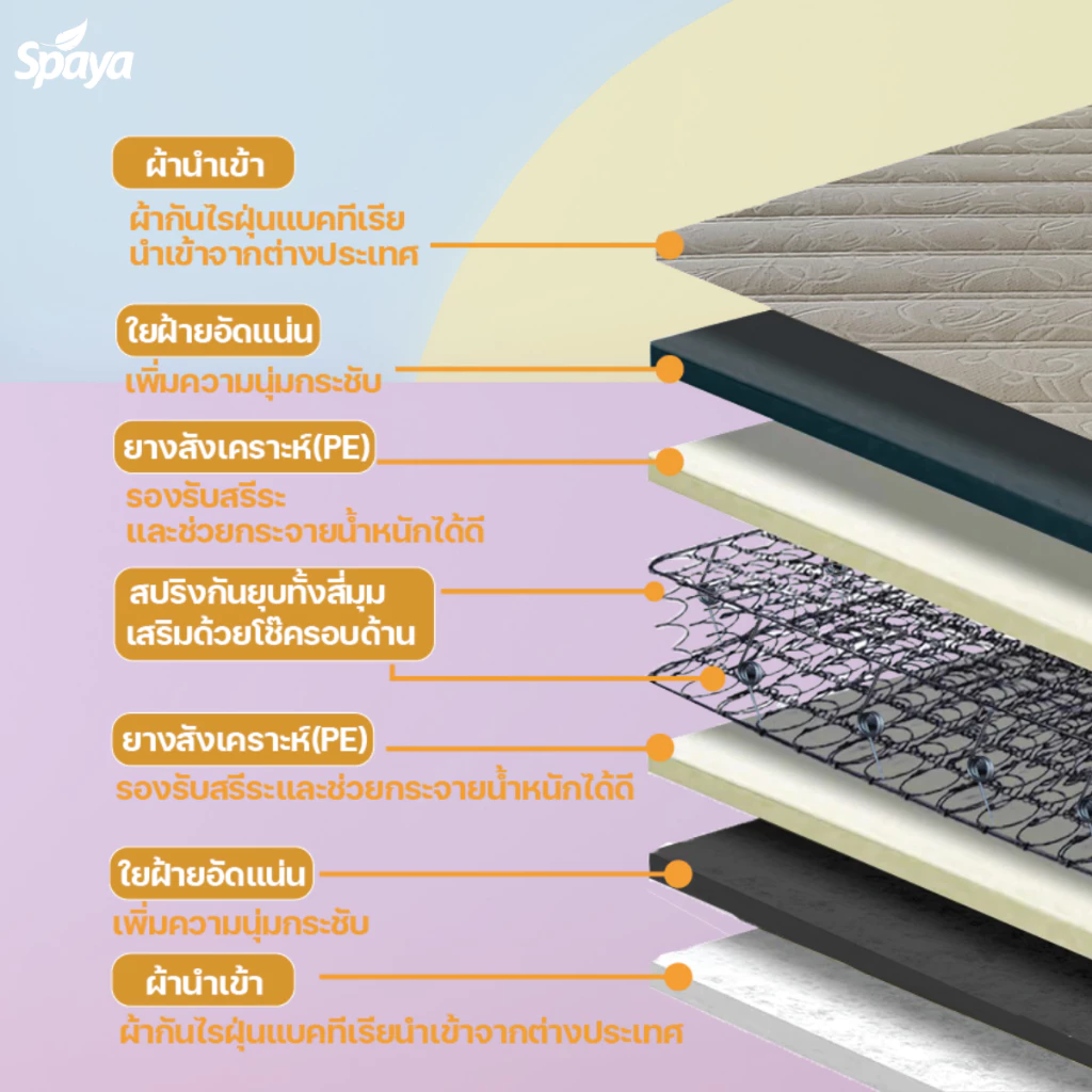 ที่นอนสปริง SPAYA รุ่น Ciao ขนาด 3.5 / 5 / 6 ฟุต หนา 9 นิ้ว thumbnail 5