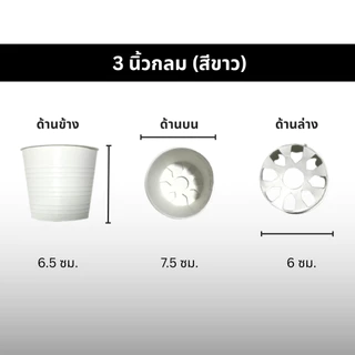กระถางต้นไม้ ทรงกลม ขนาด 3 นิ้ว แพ๊ค 50 ใบ (ราคาต่อ 1แพ็ค)