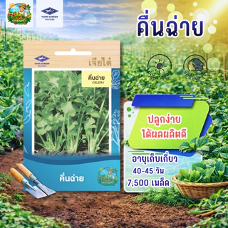 รวมผักเจียไต๋ (ชุดที่2)ผักซองเจียไต๋ มีให้เลือกมากว่า 45 ชนิด เมล็ดพันธุ์