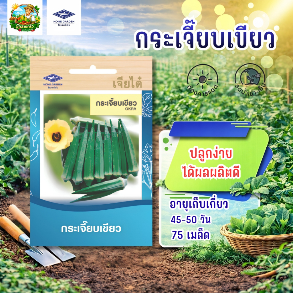 กระเจี๊ยบเขียว CT/OP-017 ผักซองเจียไต๋ เมล็ดพันธุ์ผัก กระเจี๊ยบ เมล็ดพืชผักสวนครัว ซองประมาณ 75เมล็ด
