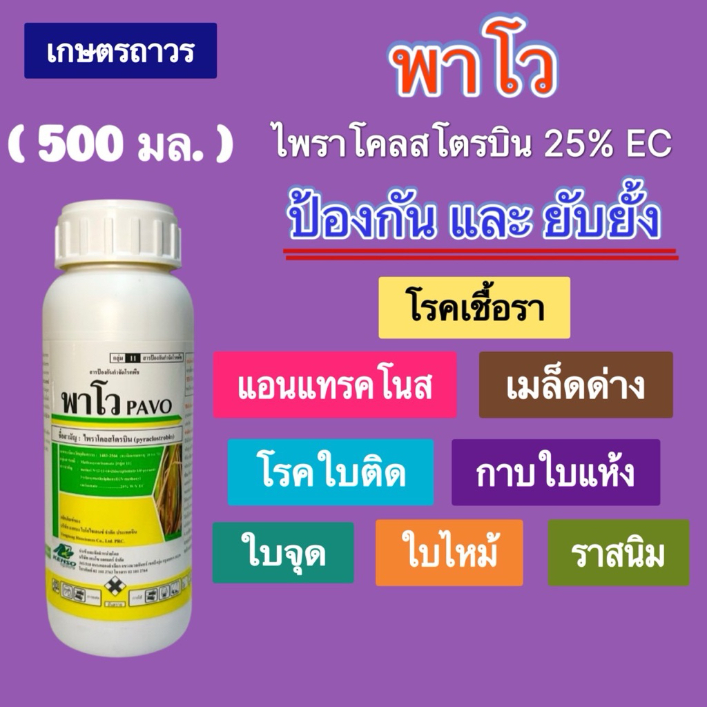พาโว 500 ซีซี สารไพราโคลสโตรบิน กำจัดราน้ำค้าง เมล็ดด่าง เน่าคอรวง โรคโคนเน่า โรคกุ้งแห้งในพริก กาบใบแห้ง โรคใบจุด