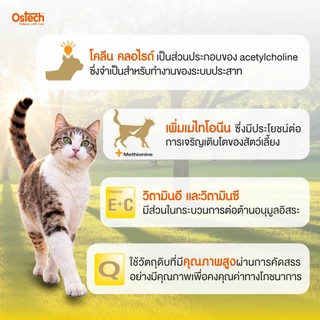 (1 แถม 1) Ostech ออสเทค พรีเมี่ยม อาหารเม็ดแมวโตออสเทค พรีเมี่ยม 900 g