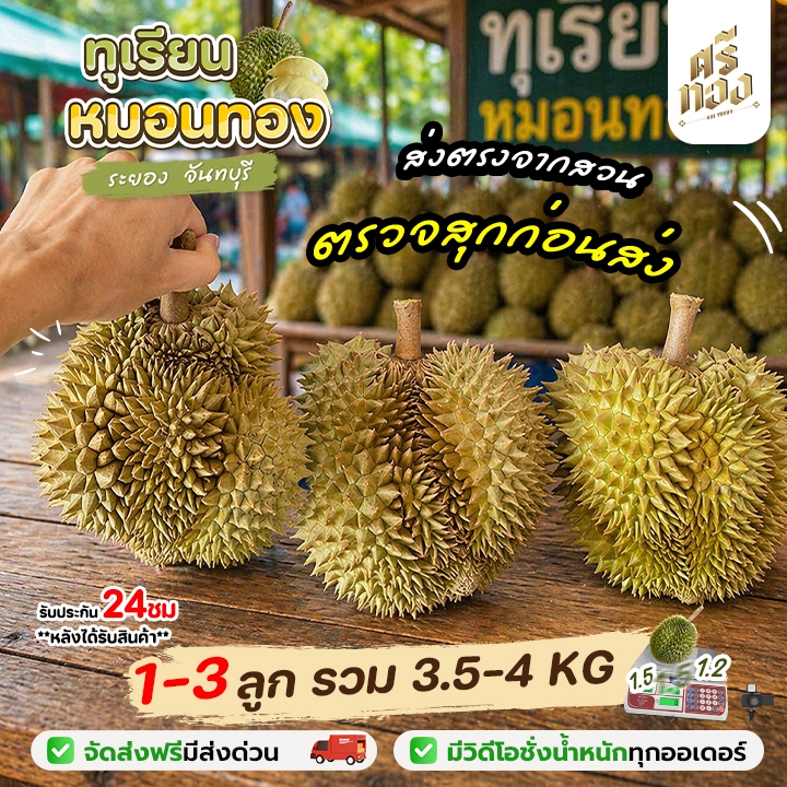 📌 ส่งฟรี-ส่งด่วน📌ทุเรียนหมอนทอง จันทบุรี 3.5-4kg.(1-3ลูก)คัดแก่ เนื้อแน่น พร้อมวิดีโอชั่งน้ำหนักจริงทุกลูก! ศรีทอง