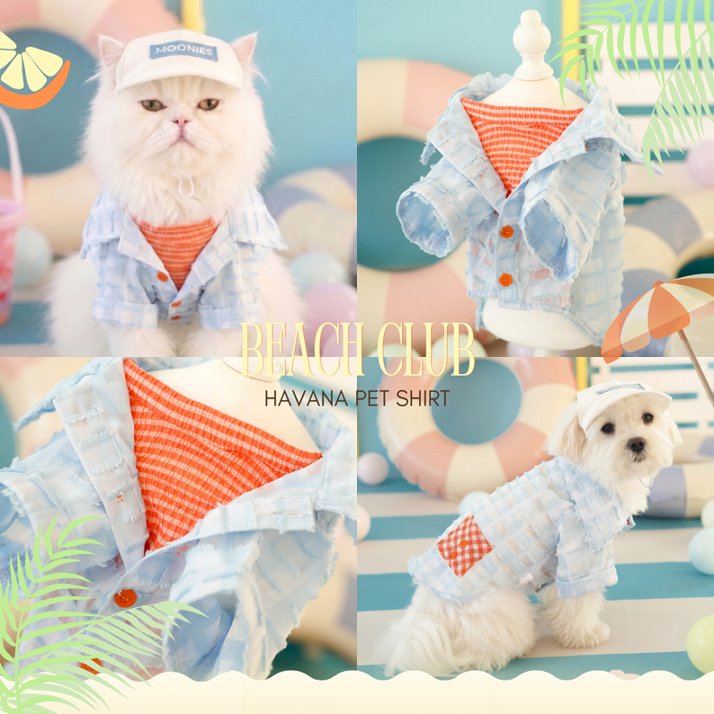 045 Beach Club - Havana Pet Shirt เสื้อเชิ้ตหมาแมว เสื้อหมาแมวผู้ชาย สีสันสดใส ลุคซัมเมอร์ น่ารัก เท่