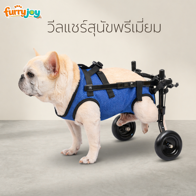 Dog Wheelchair รถเข็นสุนัข วีลแชร์สุนัข รถเข็นสุนัขพิการขาหลัง ล้อช่วยเดิน ปรับระดับได้ อลูมิเนียมอัลลอย รองรับ10-28KG