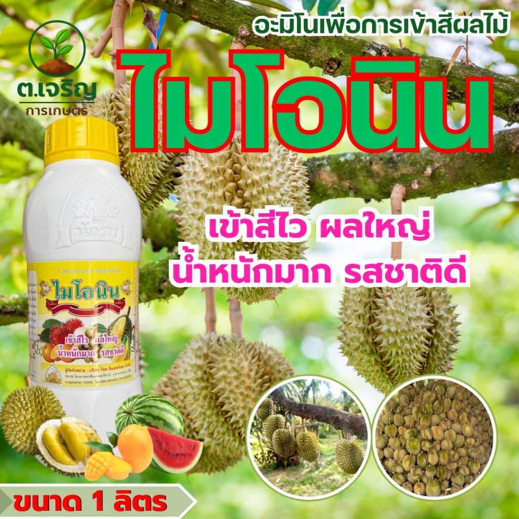 ไมโอนิน อะมิโนเพื่อการเข้าสีผลไม้ เข้าสีไว ผลใหญ่ น้ำหนักมาก รสชาติดี ไม่บีบลูก ขนาด1ลิตร ใช้ได้ทั้งไม้ดอกและไม้ผล