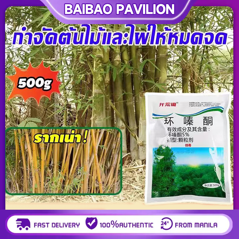 500g รากเน่ารากไม่ขึ้นอีก ยาฆ่าไผ่ ผงกำจัดกอไผ่ ยากำจัดต้นไม้  ตอไม้ วัชพืชรากเน่า