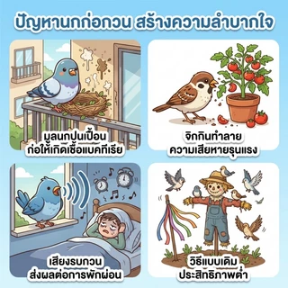🕊️🚫นกไม่กล้าเข้าใกล้แล้ว🚫🕊️SLB ไล่นกพิราบ ไล่นก นกพิราบ ไล่ กําจัดนก เติมน้ำแล้วใช้ได้ไม่จำกัด กันนก ที่ไล่นก
