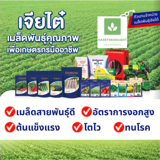 Easy เมล็ดพันธุ์ ผักกินผล ปลูกง่าย งอกดี โตไว เจียไต๋ แตงกวา ถั่วฝักยาว แตงโม เมล่อน ฟักทอง มะเขือ ผักซอง Seed ชุด2