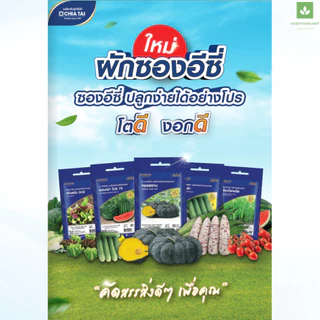 Easy เมล็ดพันธุ์ ผักกินผล ปลูกง่าย งอกดี โตไว เจียไต๋ แตงกวา ถั่วฝักยาว แตงโม เมล่อน ฟักทอง มะเขือ ผักซอง Seed ชุด2