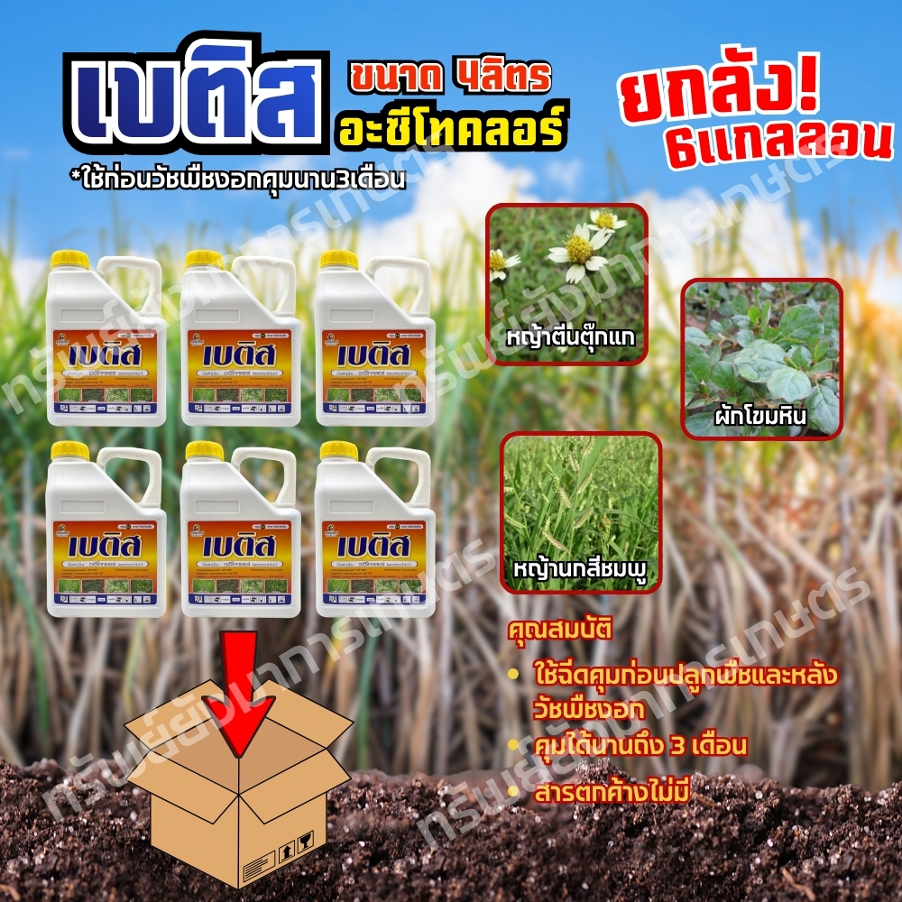 เบติส 4 ลิตร "ยกลัง 6 แกลลอน" อะซีโทคลอร์ ยาคุมหญ้า ใช้ก่อนวัชพืชงอกเพื่อกำจัดวัชพืชใบแคบ-ใบกว้าง ข้าวโพด อ้อย