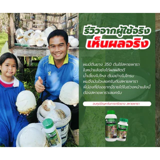 สหายพารา 1 ขวด (500 ml) ทาหน้ายาง เพิ่มน้ำยาง เปลือกนิ่ม กรีดง่าย (ทาได้ 500 ต้น)