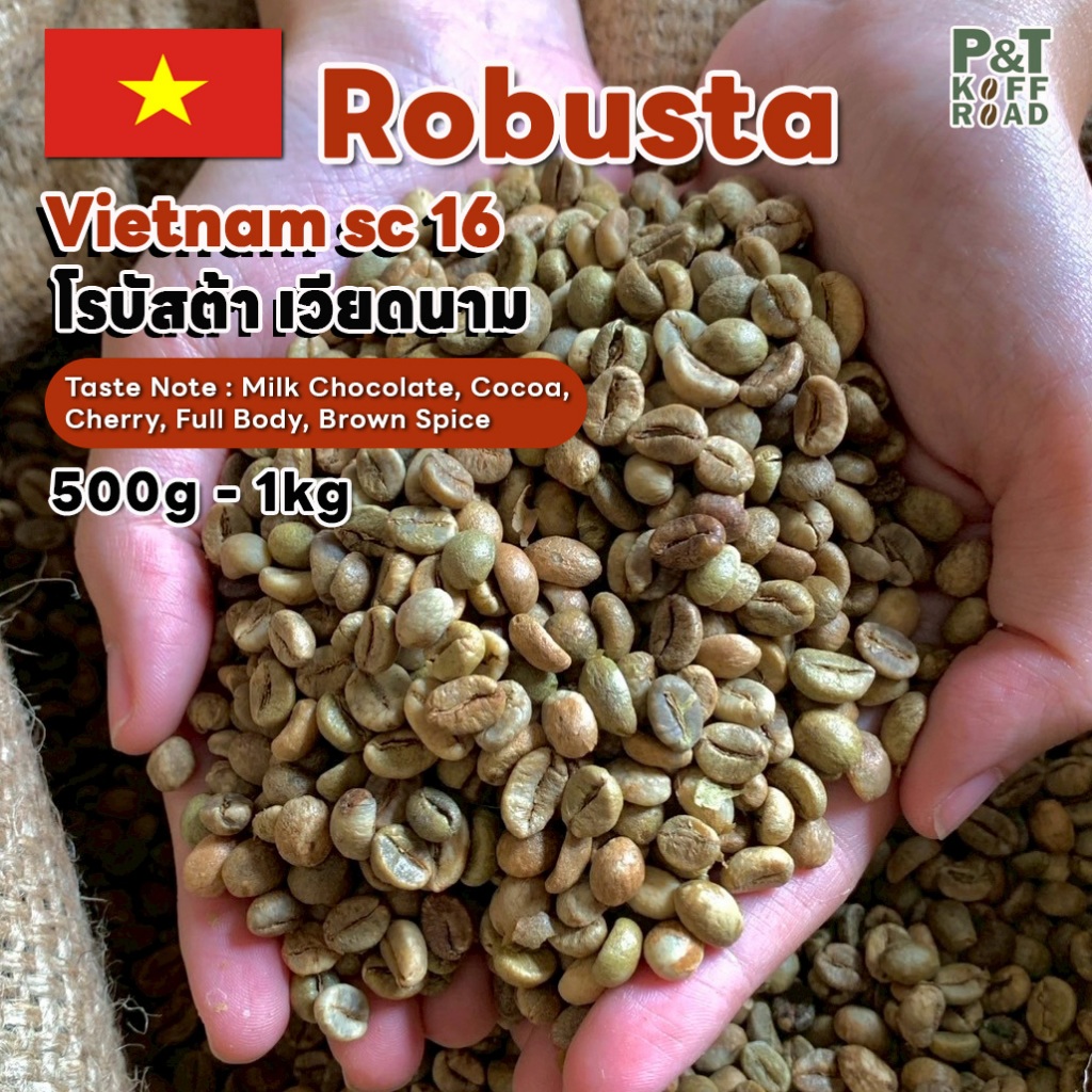 [พร้อมส่ง] สารกาแฟ Robusta Vietnam SC16 . โรบัสต้า เวียดนาม Green Bean รวม บรรจุ 500g - 1 kg. P&T KoffRoad