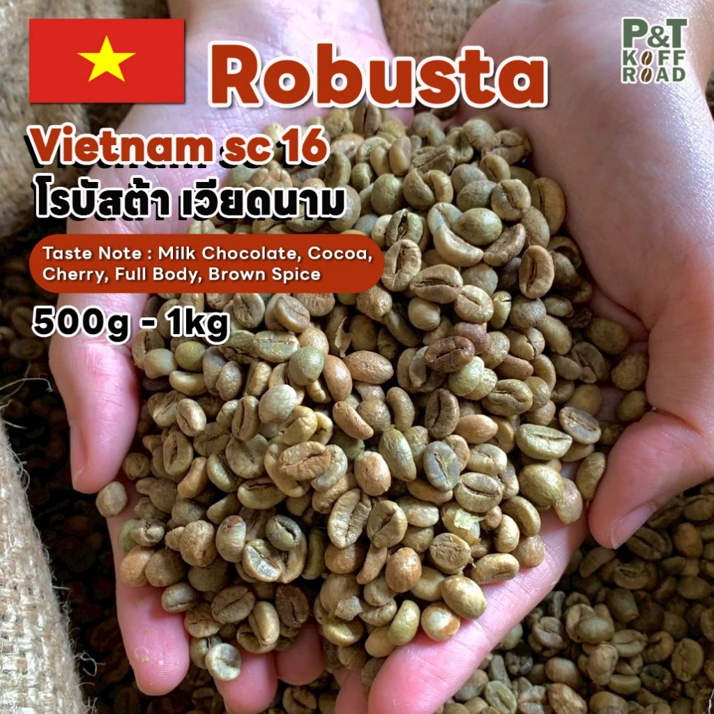 [พร้อมส่ง] สารกาแฟ Robusta Vietnam SC16 . โรบัสต้า เวียดนาม Green Bean รวม บรรจุ 500g - 1 kg. P&T KoffRoad
