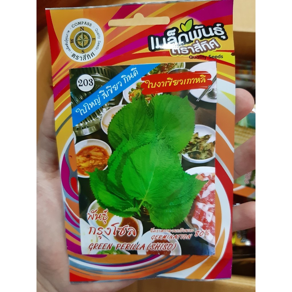 เมล็ดใบงาเขียวเกาหลี ใบงาเขียวเกาหลี พันธุ์กรุงโซล  (10 แถม 1 คละได้) เมล็ดผัก เมล็ดพันธุ์ เมล็ดพันธ์ุใบงาเขียว ใบงา