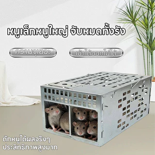 ❌🐀 กับดักหนูต่อเนื่อง กรงดักหนู 2 ประตู ดักหนูได้เยอะ ทนทานแข็งแรง ใช้งานง่าย