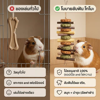 โมบายคุ้กกี้ทิโมธี ของเล่นกระต่าย คุ้กกี้หญ้า ลับฟัน หมดปัญหาฟันยาว สำหรับสัตว์ฟันแทะ กระต่าย แกสบี้