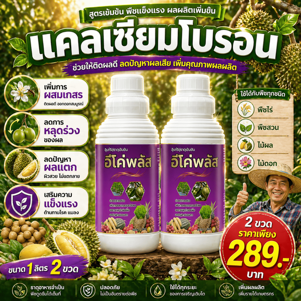 อีโค่พลัส แคลเซียมโบรอน เพิ่มการผสมเกสร ลดการหลุดร่วงของผล ลดปัญหาผลแตก ขนาด1ลิตร 2ขวด