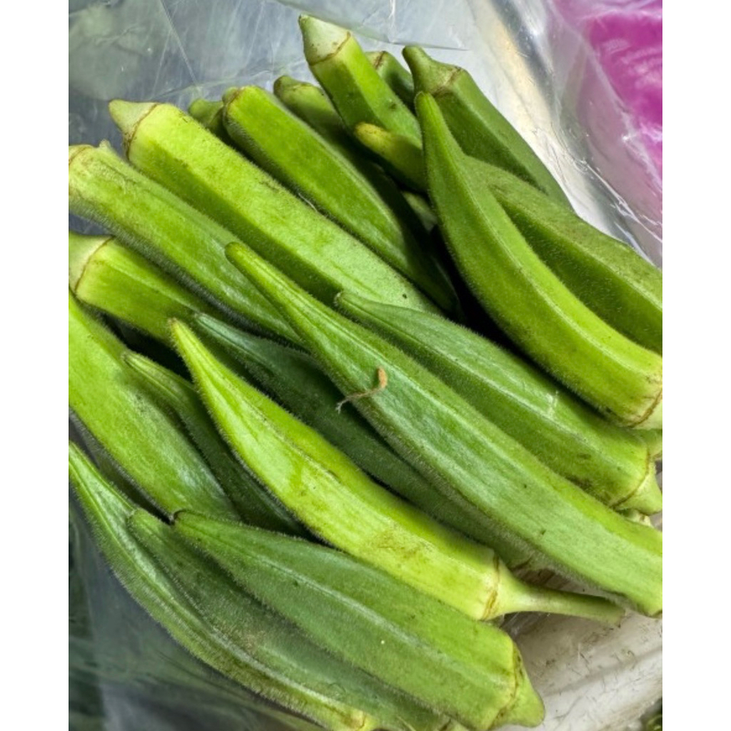 กระเจี๊ยบเขียวสด ใหม่ รับประกันคุณภาพ
