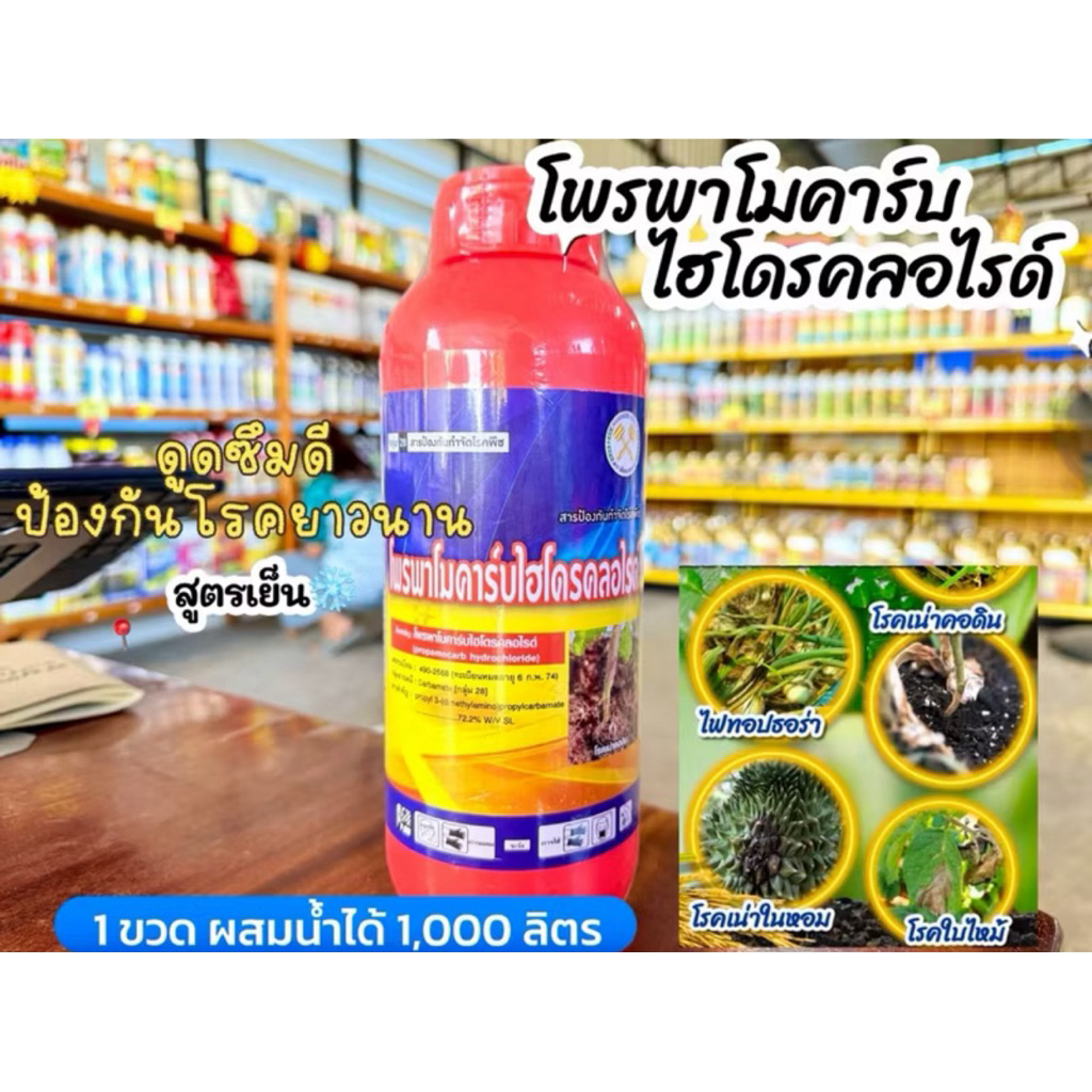 โพรพาโมคาร์บ 72.2% ขนาด 1ลิตร สูตรเย็นป้องกันกำจัดเชื้อรา โดยเฉพาะเชื้อไฟทอปธอร่า โรครากเน่า โคนเน่า ปุ๋ยพืช