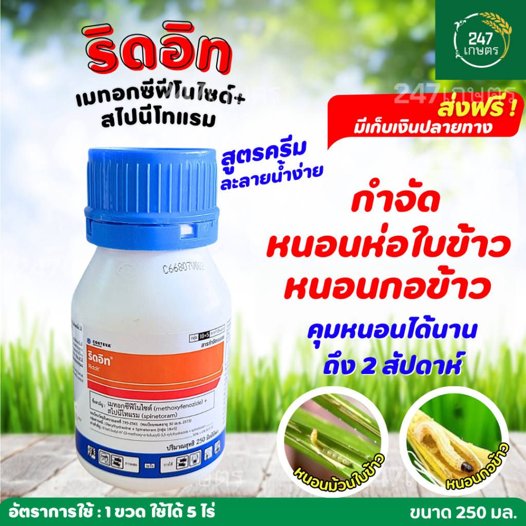 ริดอิท ขนาด 250 มล. เมทอกซีฟีโนไซด์ +สไปนีโทแรม (กลุ่ม 18+5) ป้องกันกำจัดหนอนห่อใบข้าวในนาข้าว