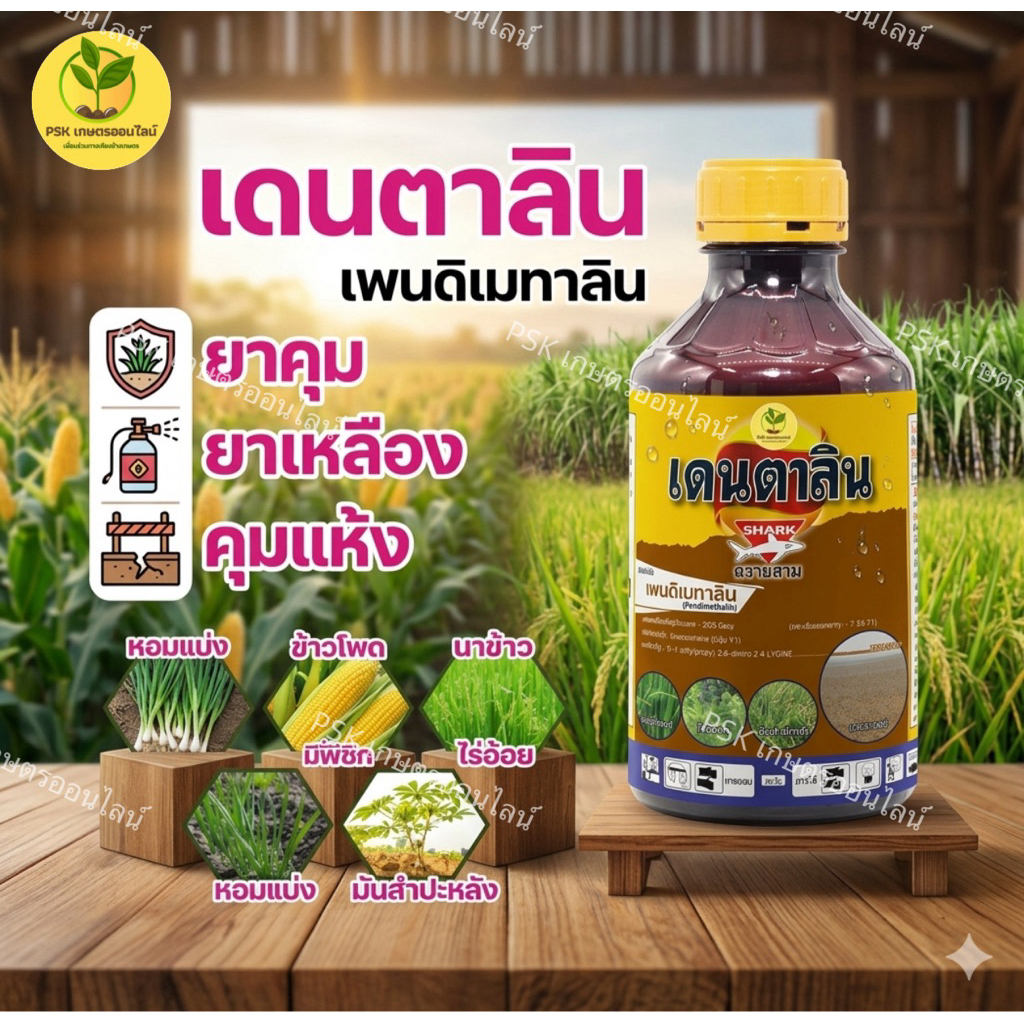 เดนตาลิน คุมแห้งนาข้าว สูตรเข้มข้นพิเศษ  เพนดิเมทาลิน  ฉีดสบาย ไม่เหม็น ไม่ติดถังฉีด  1 ลิตร