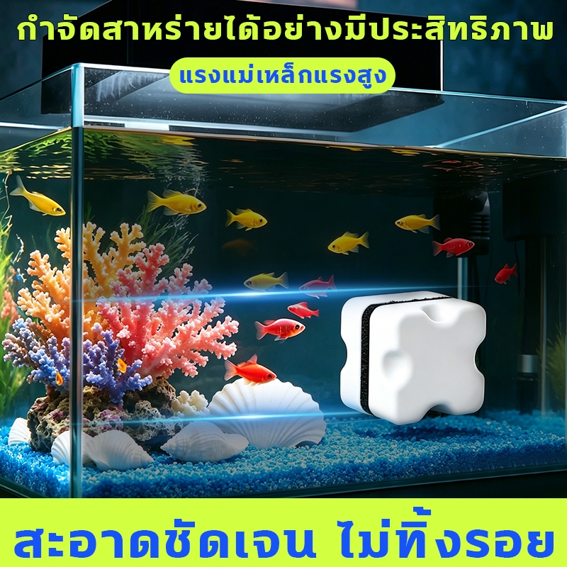 แปรงแม่เหล็ก กำจัดสาหร่ายได้อย่างมีประสิทธิภาพ แปรงแม่เหล็กตู้ปลา สะอาดชัดเจน ไม่ทิ้งรอย ทำความสะอาดตู้ปลา