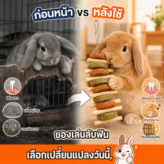 ของเล่นสัตว์ฟันแทะ ลับฟัน ธรรมชาติ ปลอดภัย ช่วยลดความเครียด ลดพฤติกรรมแทะกรง วัสดุจากผักผลไม้ ไม้แอปเปิ้ล หญ้าอัลฟาฟ่า