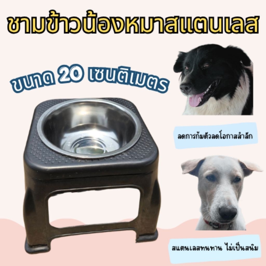 🐶 ชามข้าวสุนัขแบบยกสูง 22 ซม. สแตนเลส | ชามหมา ลดการก้ม ลดสำลัก ถอดล้างได้