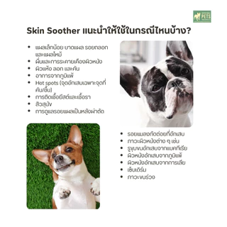 Skin Soother บาล์มบำรุงผิวสุนัข ขนาด 59.15ml | แก้คัน รอยแดง ผื่นแพ้ เลียเท้า | ปลอดภัย อ่อนโยน | Natural Dog Company