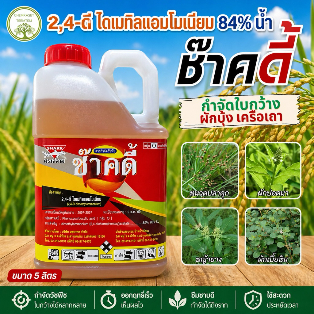 ช๊าคดี้ แกลลอน 5ลิตร หวีทอง ทู-4ดี/หมาแดงน้ำ กำจัดวัชพืชประเภทเลือกทำลาย มีฤทธิ์ดูดซึม กึ่งเผาไหม้