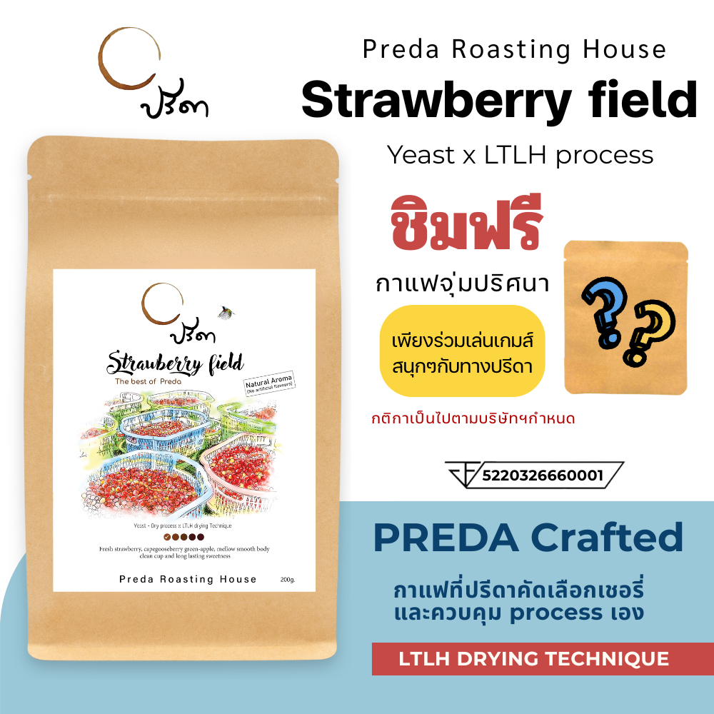 Strawberry field (เมล็ดกาแฟ LTLH คั่วอ่อน Light Roast Specialty กาแฟสตรอเบอรี่ ปรีดา)