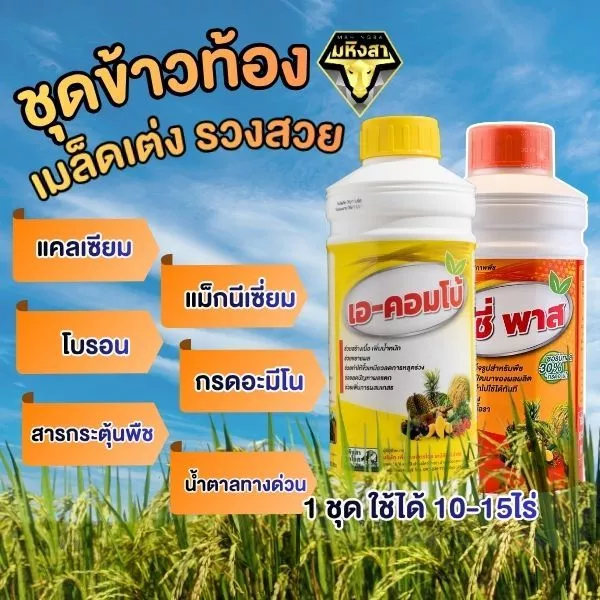 ชุดข้าวท้อง มหิงสา (เอ-คอมโบ + ซีพาส) บำรุงรวงข้าว เมล็ดเต่ง น้ำหนักดี ช่วยผสมเกสร ลดเมล็ดลีบ สำหรับนาข้าว 10-15 ไร่