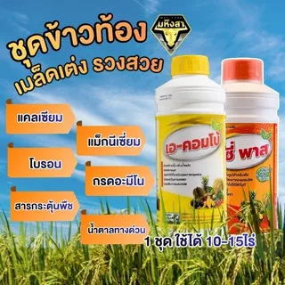 ชุดข้าวท้อง มหิงสา (เอ-คอมโบ + ซีพาส) บำรุงรวงข้าว เมล็ดเต่ง น้ำหนักดี ช่วยผสมเกสร ลดเมล็ดลีบ สำหรับนาข้าว 10-15 ไร่