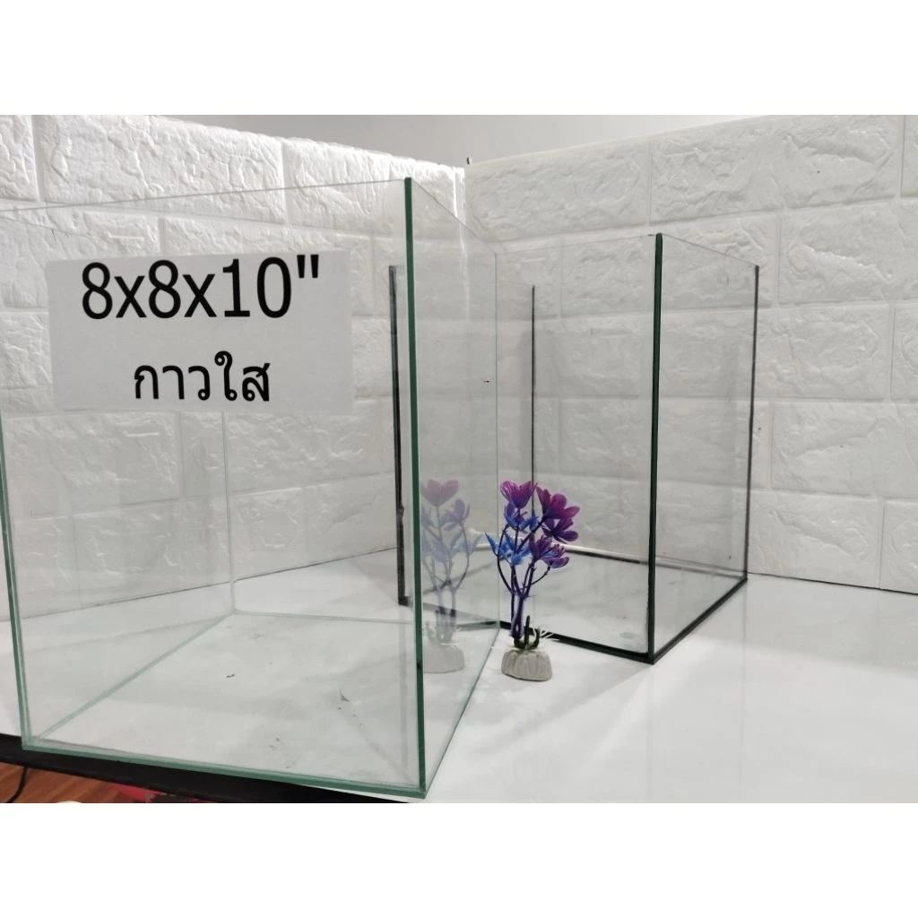 โหลปลากัด 8x8x10 นิ้ว กระจกหนา 3 มิล สำหรับปลากัดและสัตว์เล็ก พร้อมกาวใสและกาวดำ รับประกันสินค้า