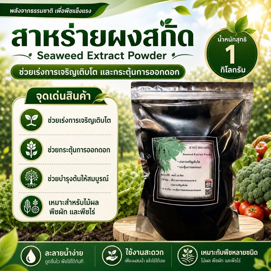 สาหร่ายผงดำสกัด สำหรับพืช Seaweed extract powder ขนาด 500/1,000 กรัม